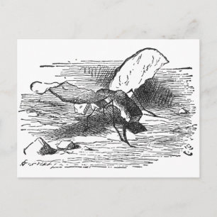 Cartão Postal Mosca Pão e Manteiga