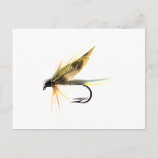 Cartão Postal Mosca úmida (Cumming)