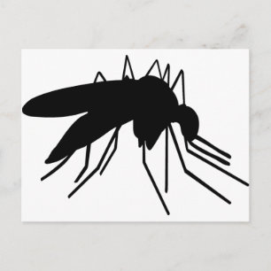 Cartão Postal Mosquito
