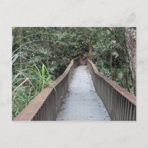 Cartão Postal Mossman Gorge - Austrália de Queensland