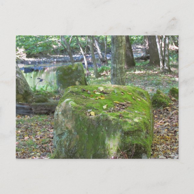 Cartão Postal Mossy Rocks no Banco (Frente)