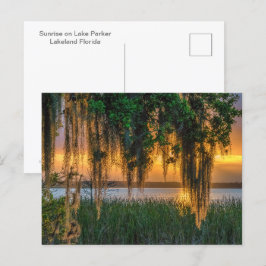 Cartão Postal Mossy Sunrise
