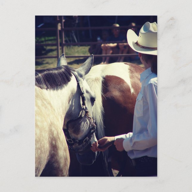 Cartão Postal Mostra em um show de cavalos (Frente)