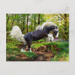 Cartão Postal "Mostrando Desligado"