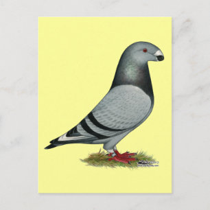 Cartão Postal Mostrar Corredor com Marcas Incorretas