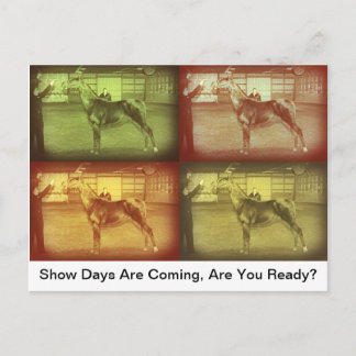 Cartão Postal Mostrar Dias