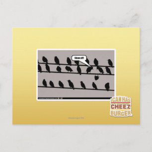 Cartão Postal Mostre fora!