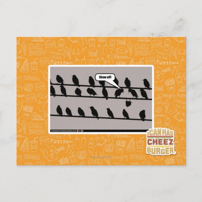 Cartão Postal Mostre-se! (Frente)