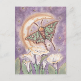 Cartão Postal Moth & Moonflower
