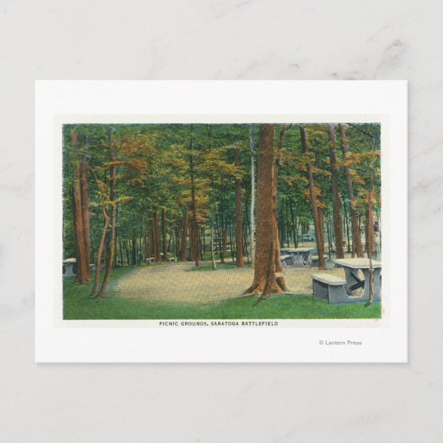 Cartão Postal Motivos de Picnic View of Saratoga Battlefield (Frente)