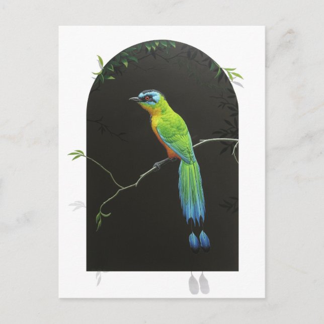 Cartão Postal Motmot de coroa azul (Frente)