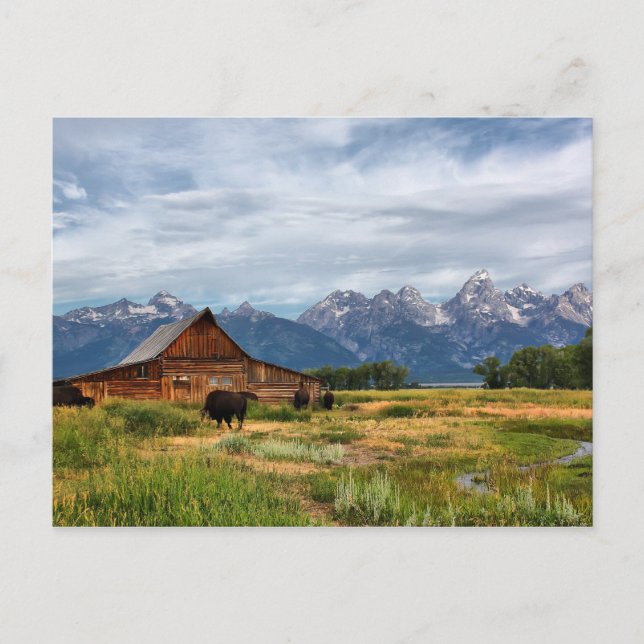 Cartão Postal Moulton Barn (Frente)