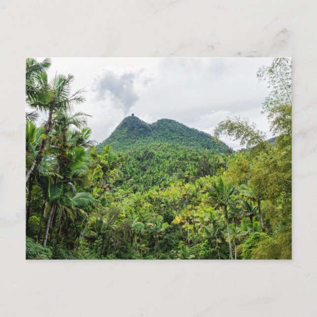 cartão postal mount britton e el yunque horizontal (Frente)
