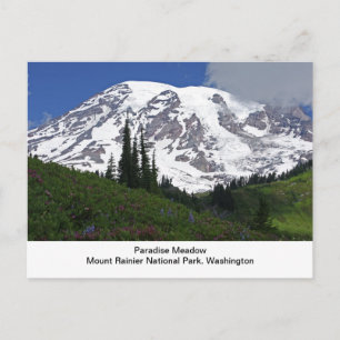 Cartão Postal Mount Rainier Paradise Meadow Postcard