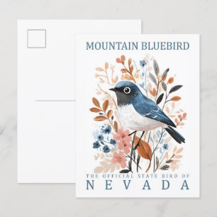 Cartão Postal Mountain Bluebird Bird
