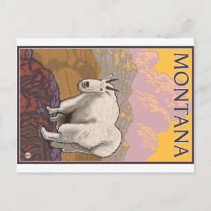 Cartão Postal Mountain Goat - Montana