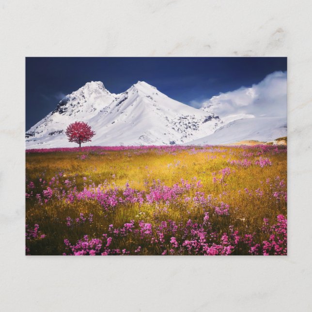 CARTÃO POSTAL MOUNTAINS FIELD FLOWERS LANDSCAPE POSTCROSSING (Frente)