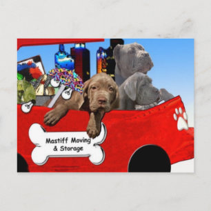 Cartão Postal Movimentação e armazenamento mastiff