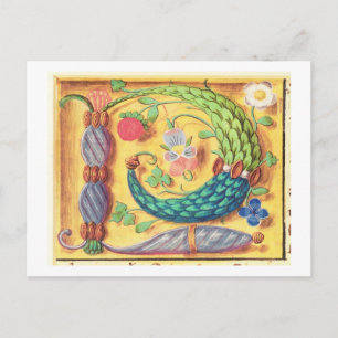 Cartão Postal Ms 134 Letra iluminada "P" decorada com flor