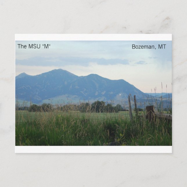 Cartão postal MSU "M" (Frente)