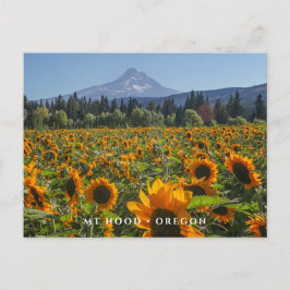 Cartão Postal Mt Hood | Oregon
