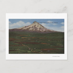 Cartão Postal Mt. Hood, Oregon - Vista da Montanha do Caputo 2