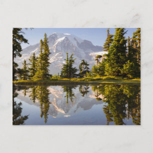Cartão Postal Mt. Rainier refletido em um tarn perto de Plummer