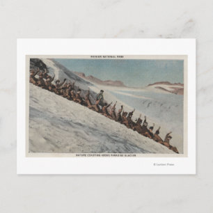 Cartão Postal Mt. Rainier, WA - Linha de Pessoas