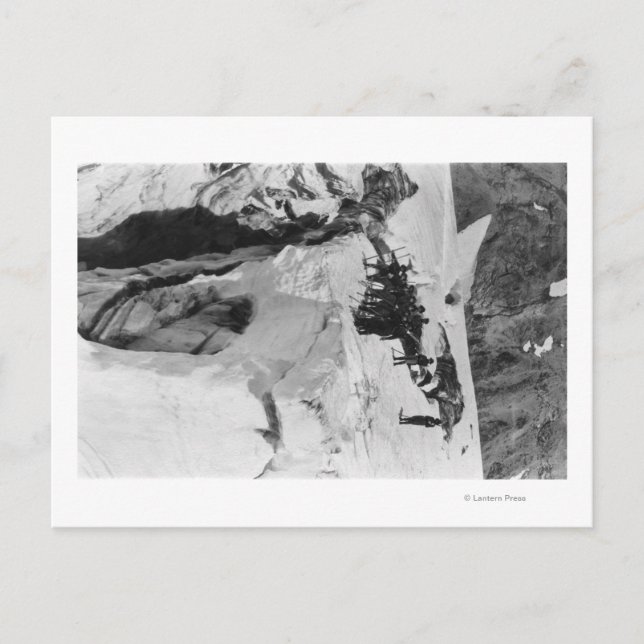 Cartão Postal Mt. Rainier, WA Nisqually Glacier Climers (Frente)