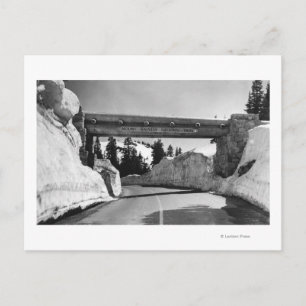 Cartão Postal Mt. Rainier, Washington Chinook Pass Summit Naches
