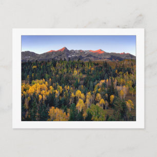 Cartão Postal "Mt. Sneffel - Dallas Divide Road"