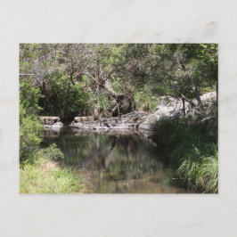 Cartão Postal Mt Tamborine #3