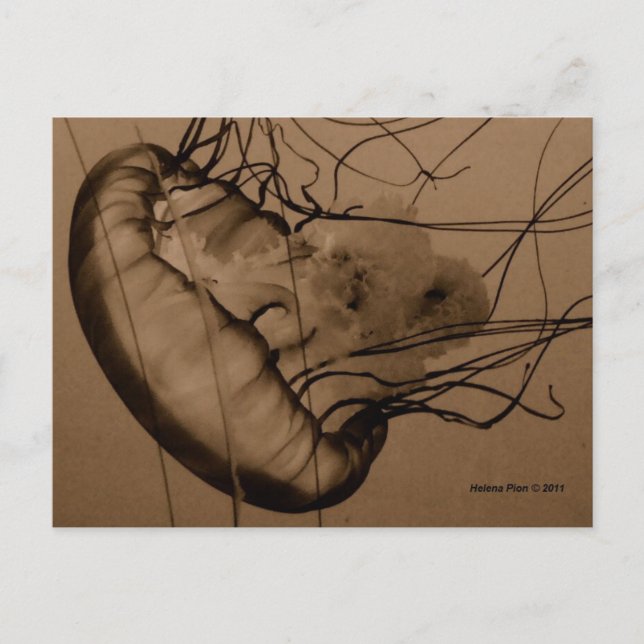 CARTÃO POSTAL MTV 3 (Frente)