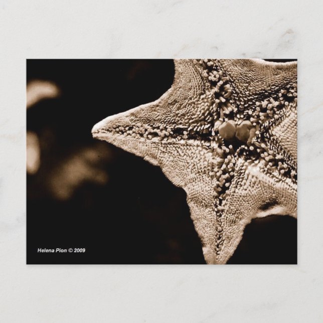 CARTÃO POSTAL MTV 7 (Frente)