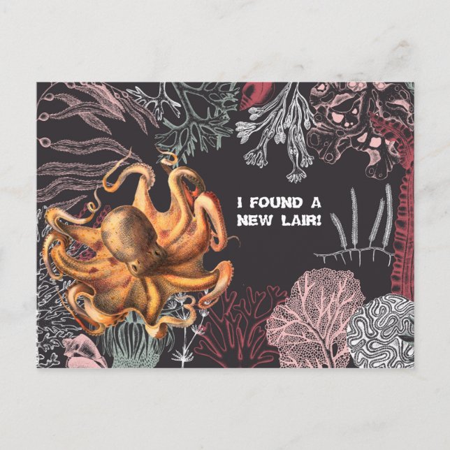 Cartão Postal Mudança de endereço no Jardim Octopus (Frente)