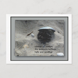 Cartão Postal Mudança de estações