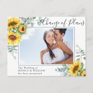 Cartão Postal Mudança de Planos de Casamento de Eucalyptus FOTO