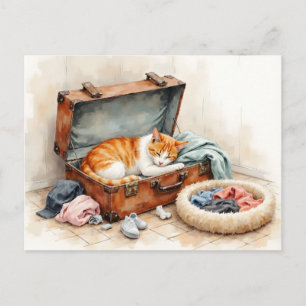 Cartão Postal Mudança Divertida de Endereço do Gato Laranja