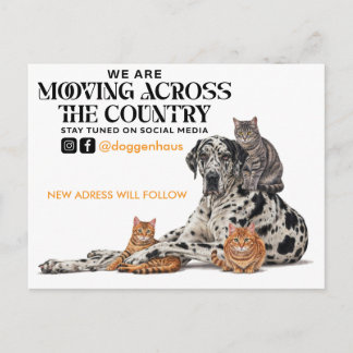 Cartão Postal Mudando para Outro País Great Dane e Gato