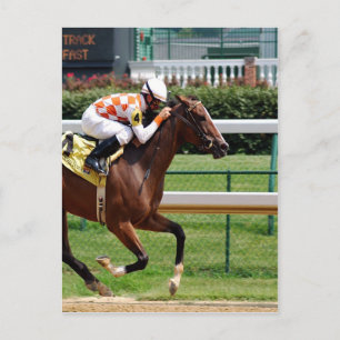 Cartão Postal Mudar para o objetivo de sucesso Horseracing