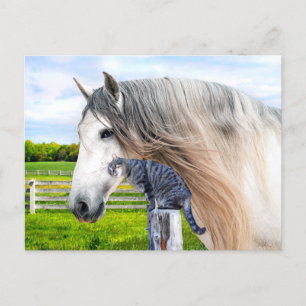 Cartão Postal "Muffin & Saraband" 