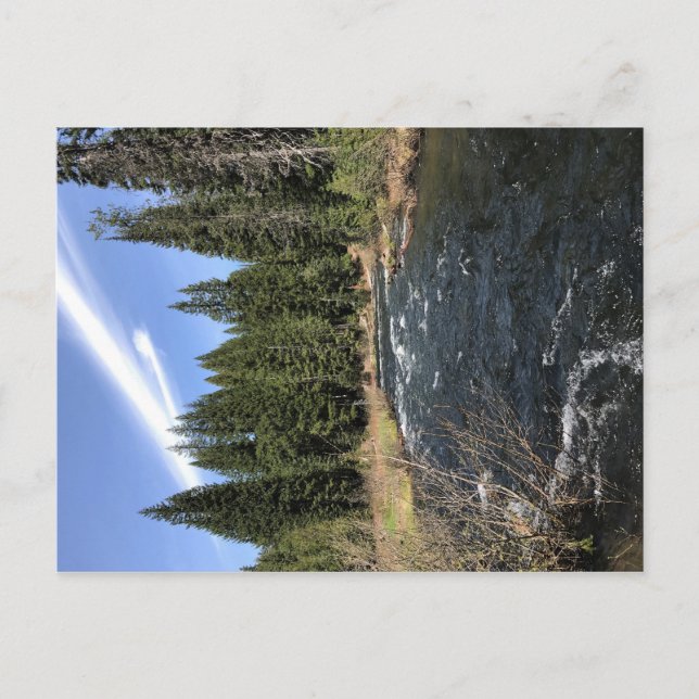 Cartão Postal Muir Creek, Oregon (Frente)