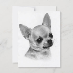 Cartão Postal Muito Bonita Arte Chihuahua Pintada Pela Mão