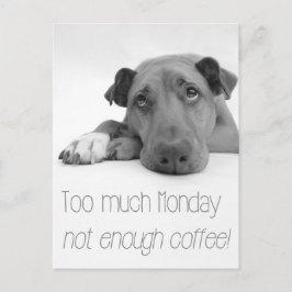 Cartão Postal Muito na segunda-feira, pouco café - Cachorro Sono