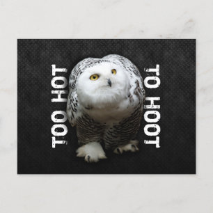 Cartão Postal Muito Quente Para Hoot