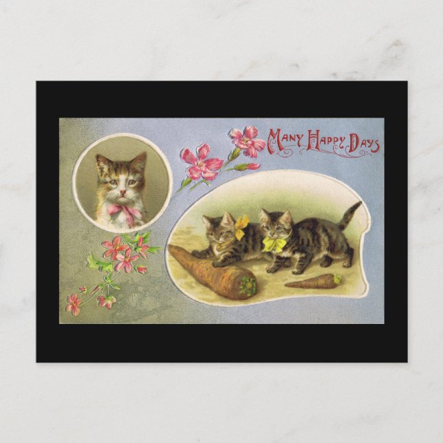 Cartão Postal Muitos dias felizes (Frente)