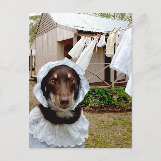 Cartão Postal Mulher (Frente)
