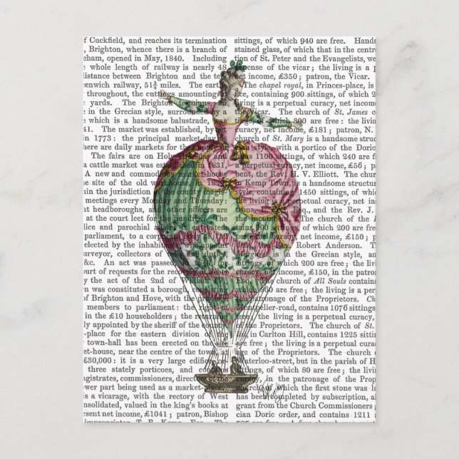 Cartão Postal Mulher Balão de Ar Quente 2 (Frente)