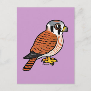 Cartão Postal Mulher do Kestrel Americano