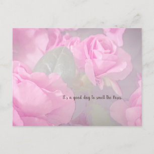 Cartão Postal Mulher Flores Rosa Jardim Rosa Aniversário